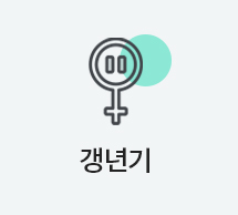 갱년기